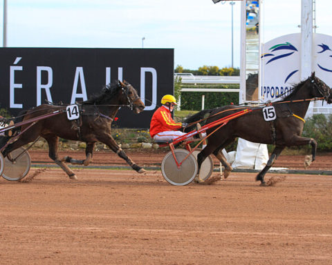 Arrivée quinté 24 janvier 2024 à Cagnes