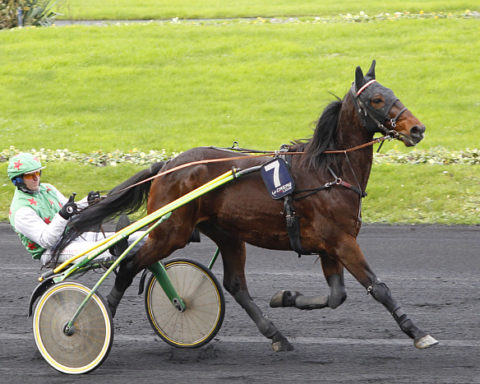 Arrivée quinté 25 janvier 2024 à Vincennes