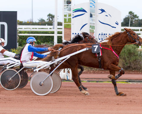 Arrivée quinté 11 janvier 2024 à Cagnes