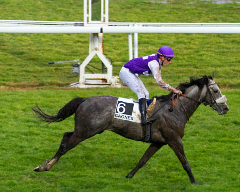 Arrivée quinté 29 janvier 2024