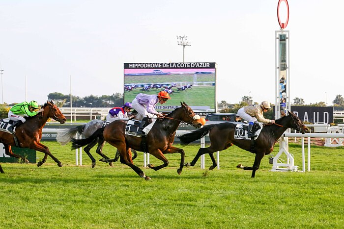 Arrivée quinté 23 janvier 2024