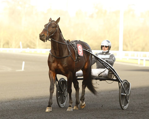 arrivée quinté 1 janvier 2024