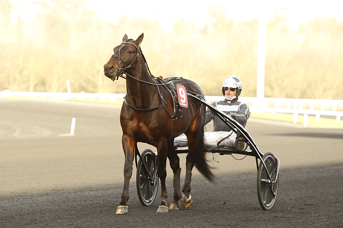 arrivée quinté 1 janvier 2024
