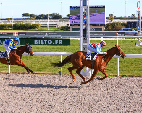 Arrivée quinté 17 janvier 2024
