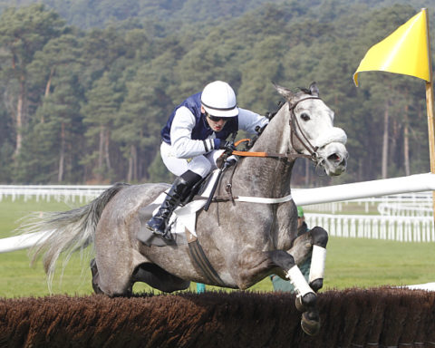 Arrivée quinté 10 janvier 2024 à Vincennes