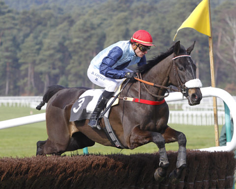 arrivée quinté 2 janvier 2024