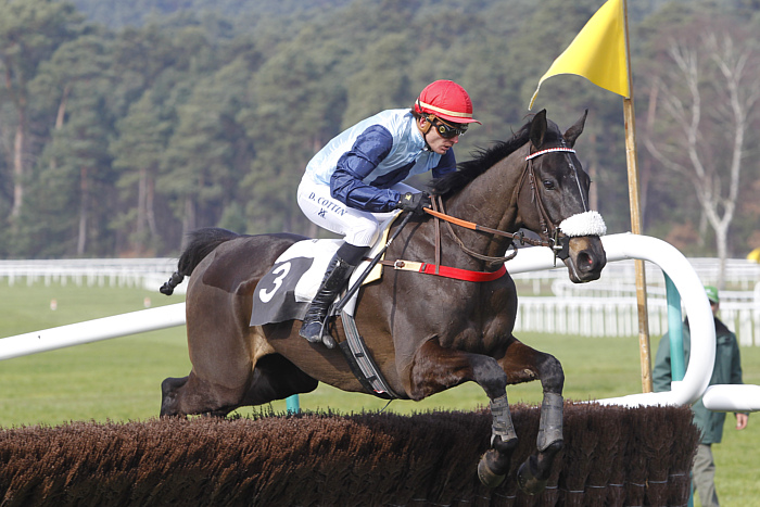 arrivée quinté 2 janvier 2024