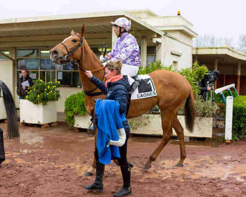 Arrivée quinté 15 janvier 2024 à Cagnes