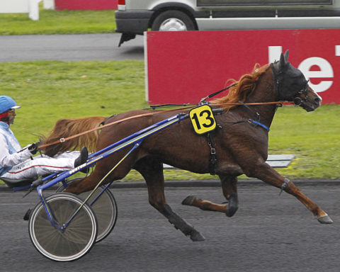 Arrivée quinté 18 janvier 2024