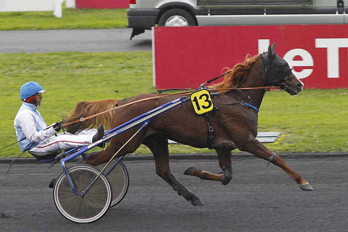 Arrivée quinté 18 janvier 2024