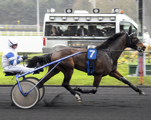 Arrivée quinté 16 janvier 2024