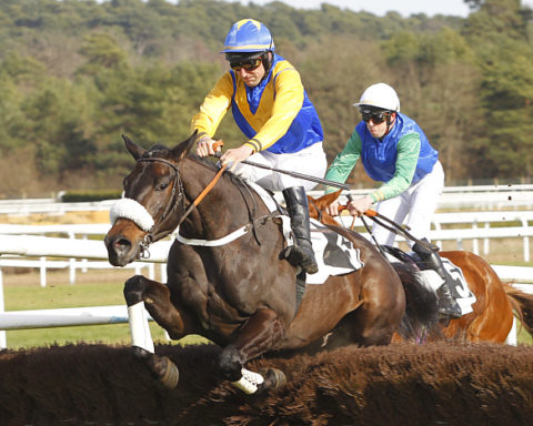 Arrivée quinté 22 janvier 2024