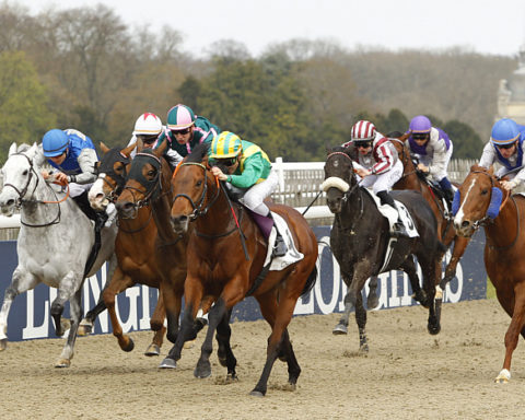 Arrivée quinté 31 janvier 2024 Vincennes