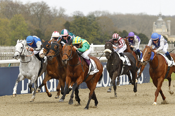 Arrivée quinté 31 janvier 2024 Vincennes