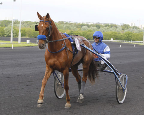 arrivée quinté 8 janvier 2024