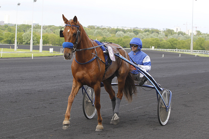 arrivée quinté 8 janvier 2024