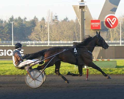 Arrivée quinté 30 janvier 2024 Vincennes