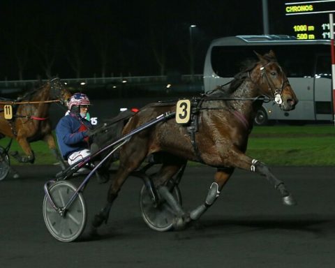 Arrivée quinté 9 janvier 2024 à Vincennes