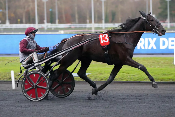 arrivée belgique amérique 2024