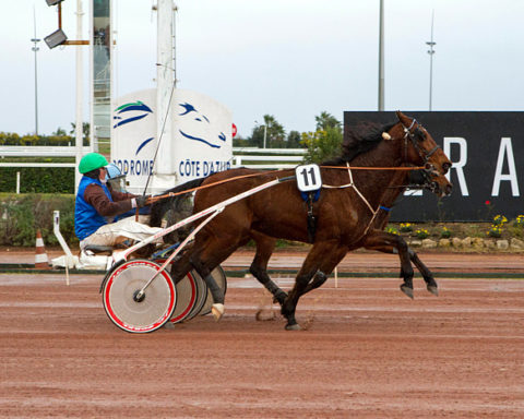 Arrivée quinté 15 février 2024