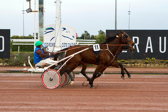 Arrivée quinté 15 février 2024
