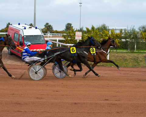 Arrivée quinté 29 février 2024