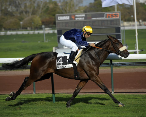 Arrivée quinté 27 février 2024