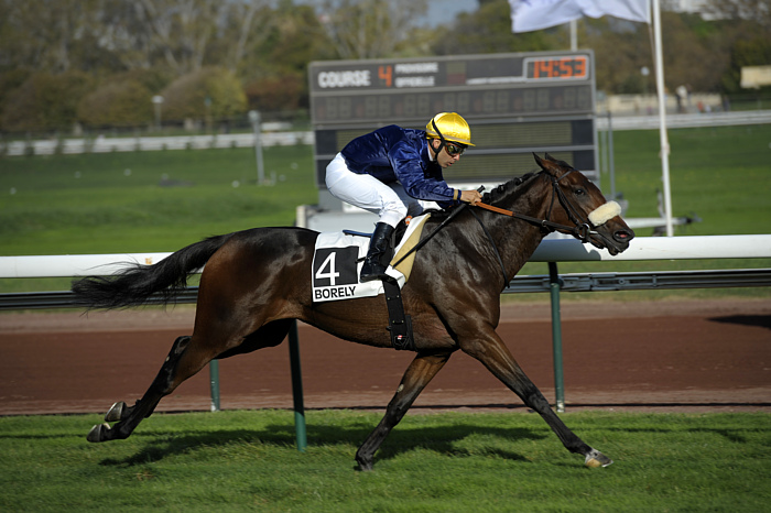 Arrivée quinté 27 février 2024