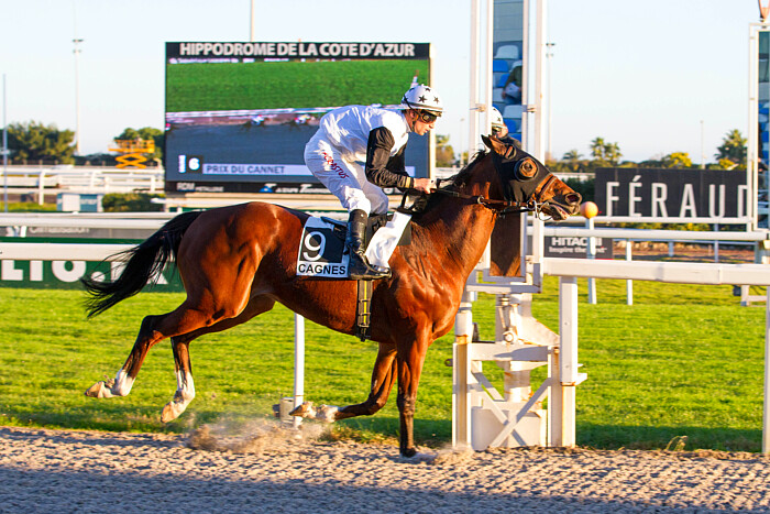 Arrivée quinté 26 février 2024