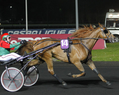 Arrivée quinté 22 février 2024