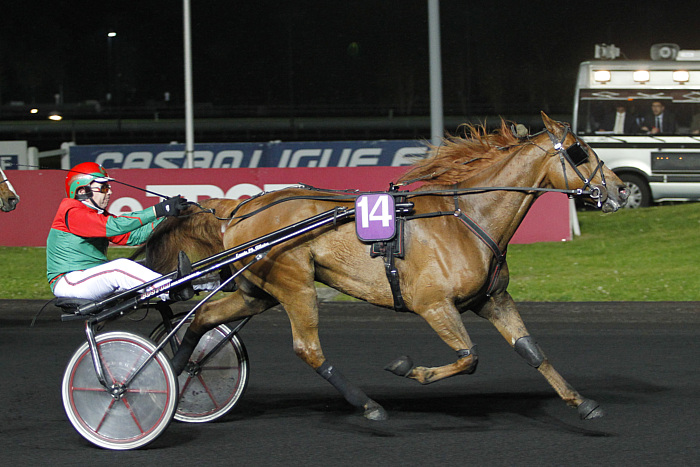 Arrivée quinté 22 février 2024