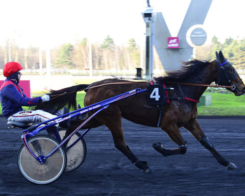 Arrivée quinté 20 février 2024