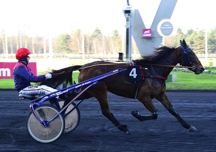 Arrivée quinté 20 février 2024