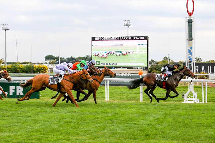 Arrivée quinté 7 février 2024