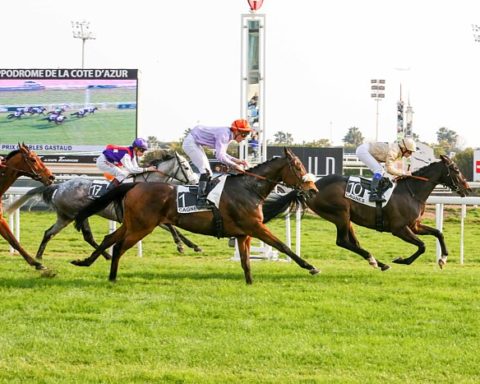 Arrivée quinté 21 février 2024