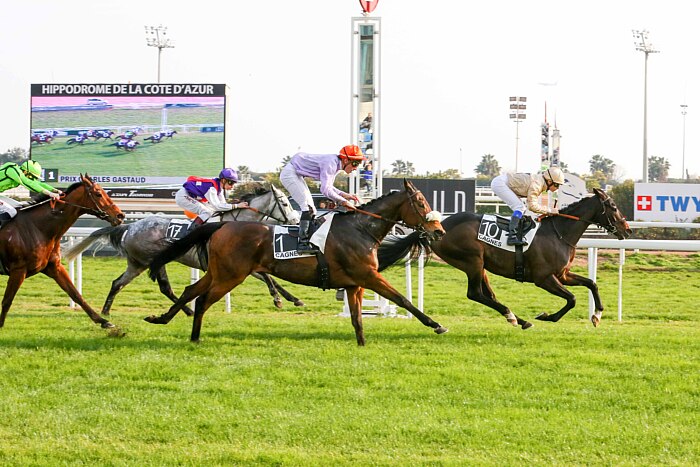 Arrivée quinté 21 février 2024