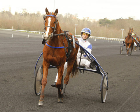 Arrivée quinté 1 février 2024 Vincennes