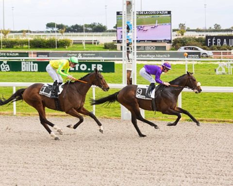 Arrivée quinté 12 février 2024