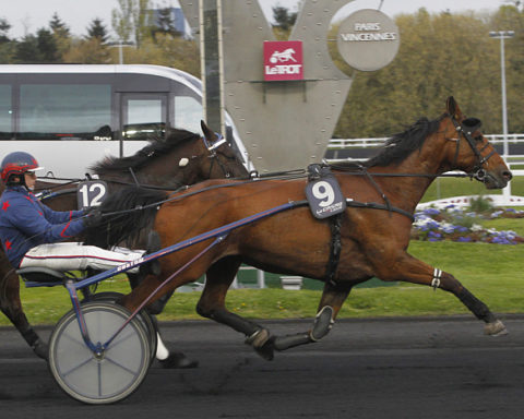 Arrivée quinté 14 février 2024 à Vincennes