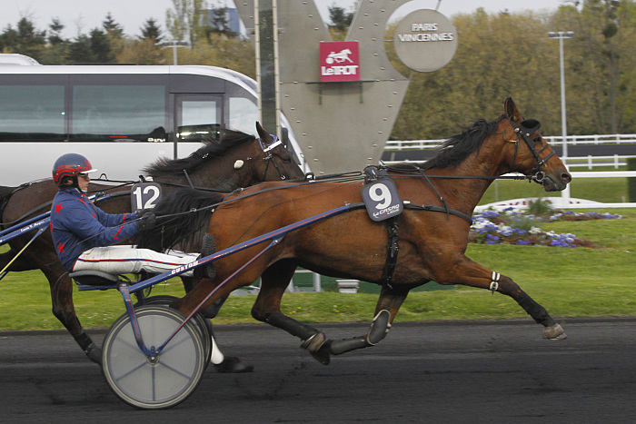 Arrivée quinté 14 février 2024 à Vincennes