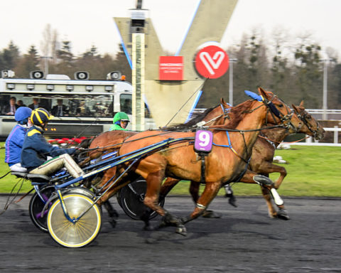 Arrivée quinté 13 février 2024