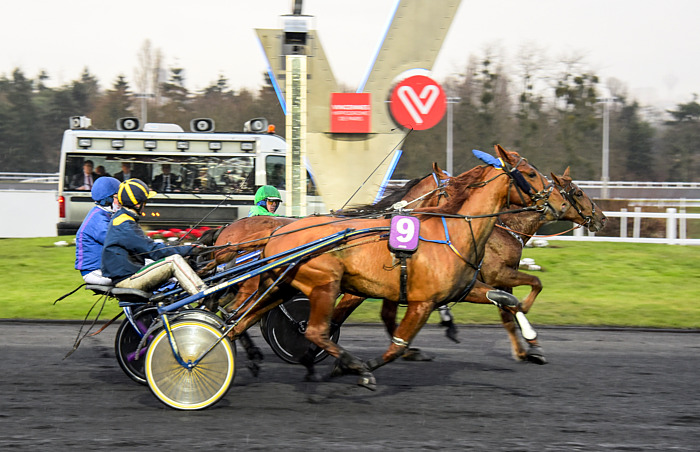 Arrivée quinté 13 février 2024
