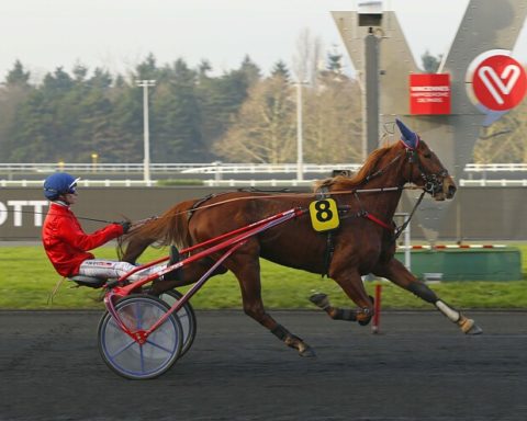 Arrivée quinté 19 février 2024