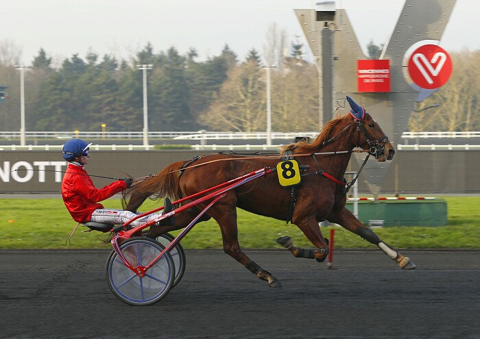 Arrivée quinté 19 février 2024