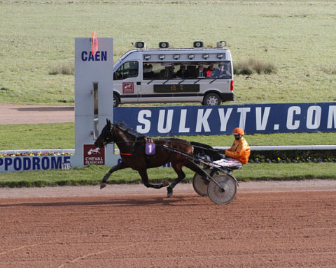 Arrivée quinté 4 mars 2024
