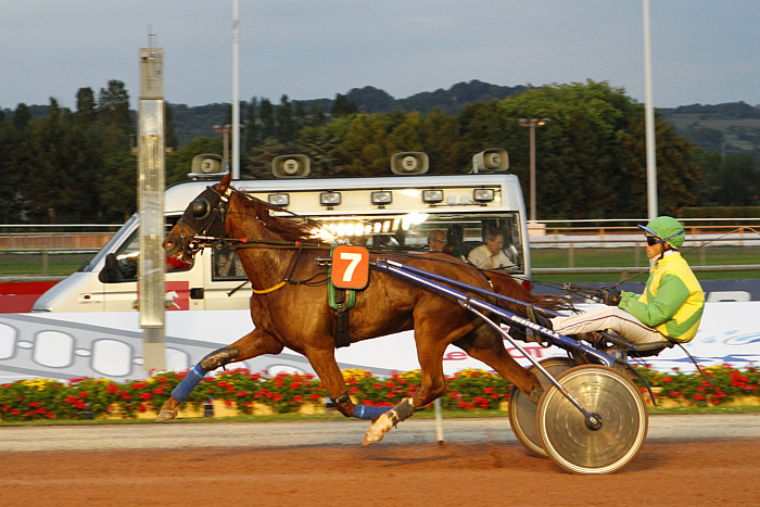 Arrivée quinté 20 mars 2024
