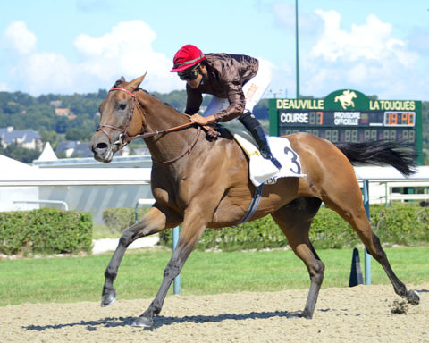 Arrivée quinté 18 mars 2024