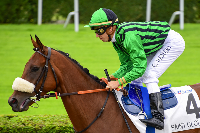 Arrivée quinté 26 mars 2024