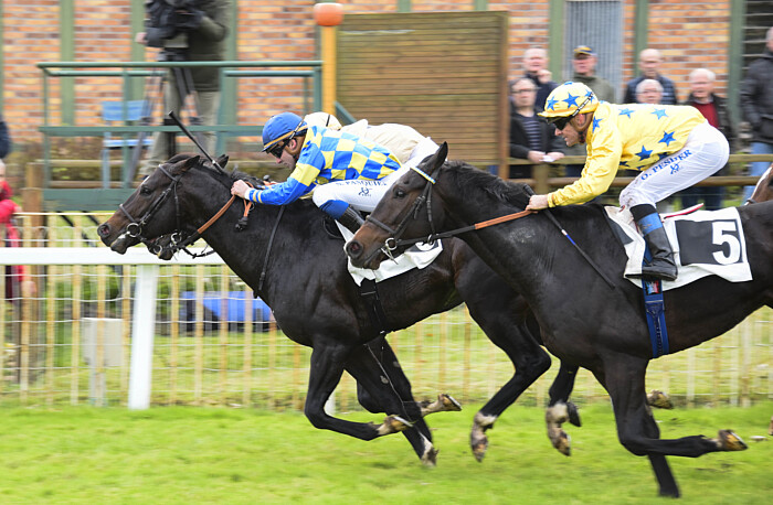 Arrivée quinté 25 mars 2024