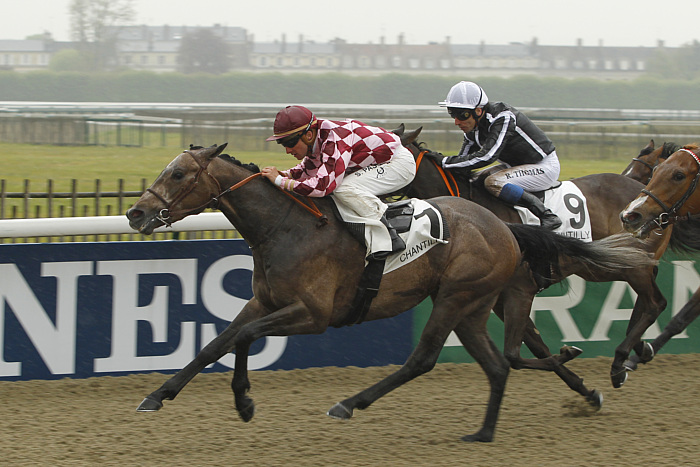 Arrivée quinté 5 mars 2024